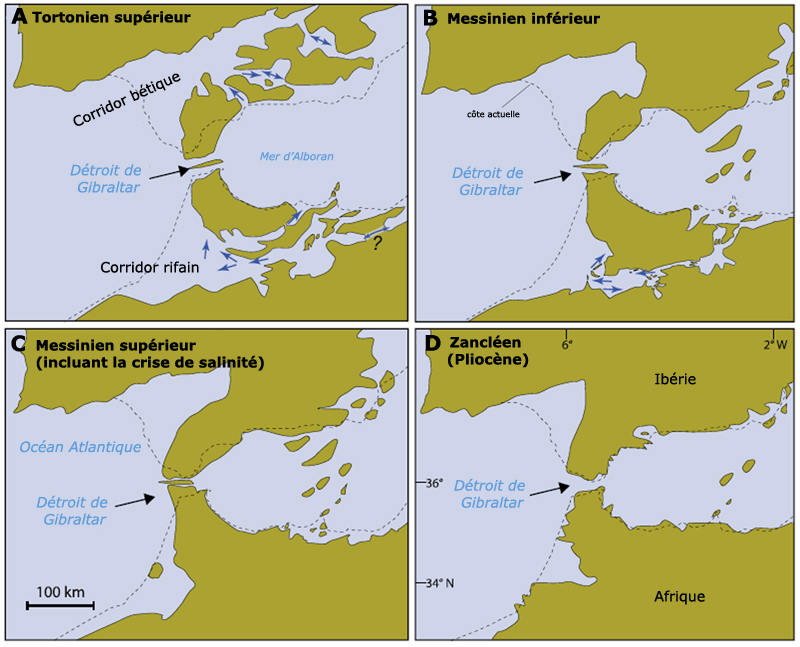 volution palogographique de la connectivit Atlantique-Mditerrane du Miocne suprieur au Pliocne